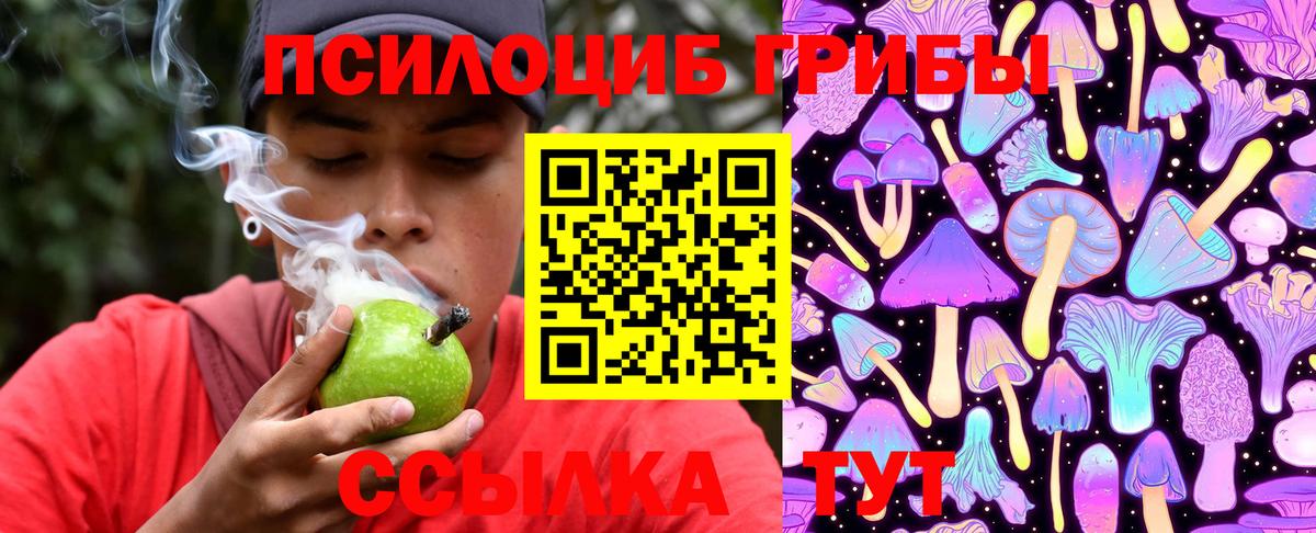 Галлюциногенные грибы Magic Shrooms  где можно купить наркотик  Сочи  Вход с VPN  Галлюциногенные грибы GOLDEN TEACHER 